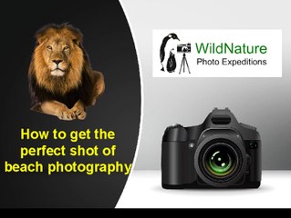 Best nature photography course in Australia