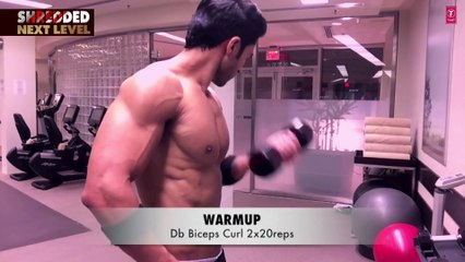 Day 2 Arms & Abs    SHREDDED NEXT LEVEL by Guru Mann