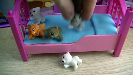 Descargar video: 5 Five Little Teddy Bears Jumping On The Bed | Nursery Rhymes for Children | Animals