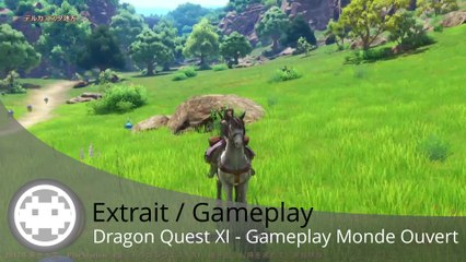 Extrait / Gameplay - Dragon Quest XI (Gameplay Map sur PS4 et 3DS)