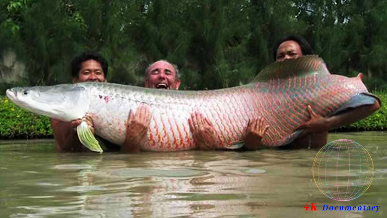 Full Documentary - นักล่าผู้ยิ่งใหญ่ ตอน บึงมรณะ - Documentary 2016
