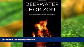 PDF [FREE] DOWNLOAD  Deepwater Horizon: A Systems Analysis of the Macondo Disaster TRIAL EBOOK