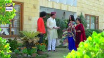 Watch Dilli Walay Dularay Babu Episode 17 - on Ary Digital in High Quality 17th December 2016