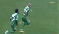 Luigi Castaldo Goal - Bari 0-1 Avellino - (17/12/2016)