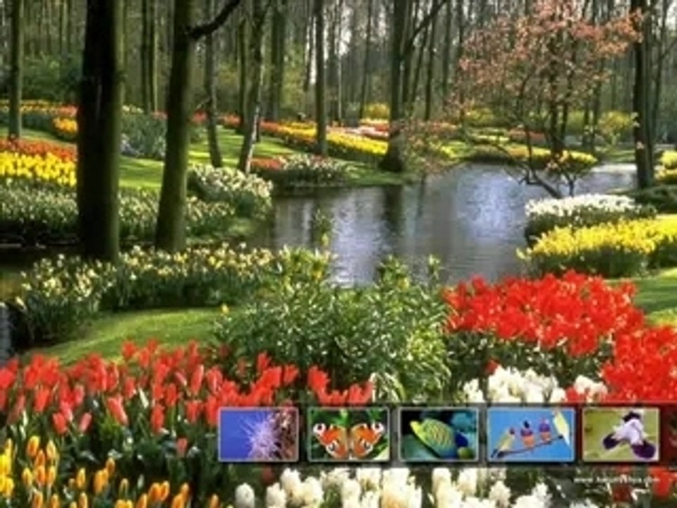 RAPPEL VERSETS EXPLICITE