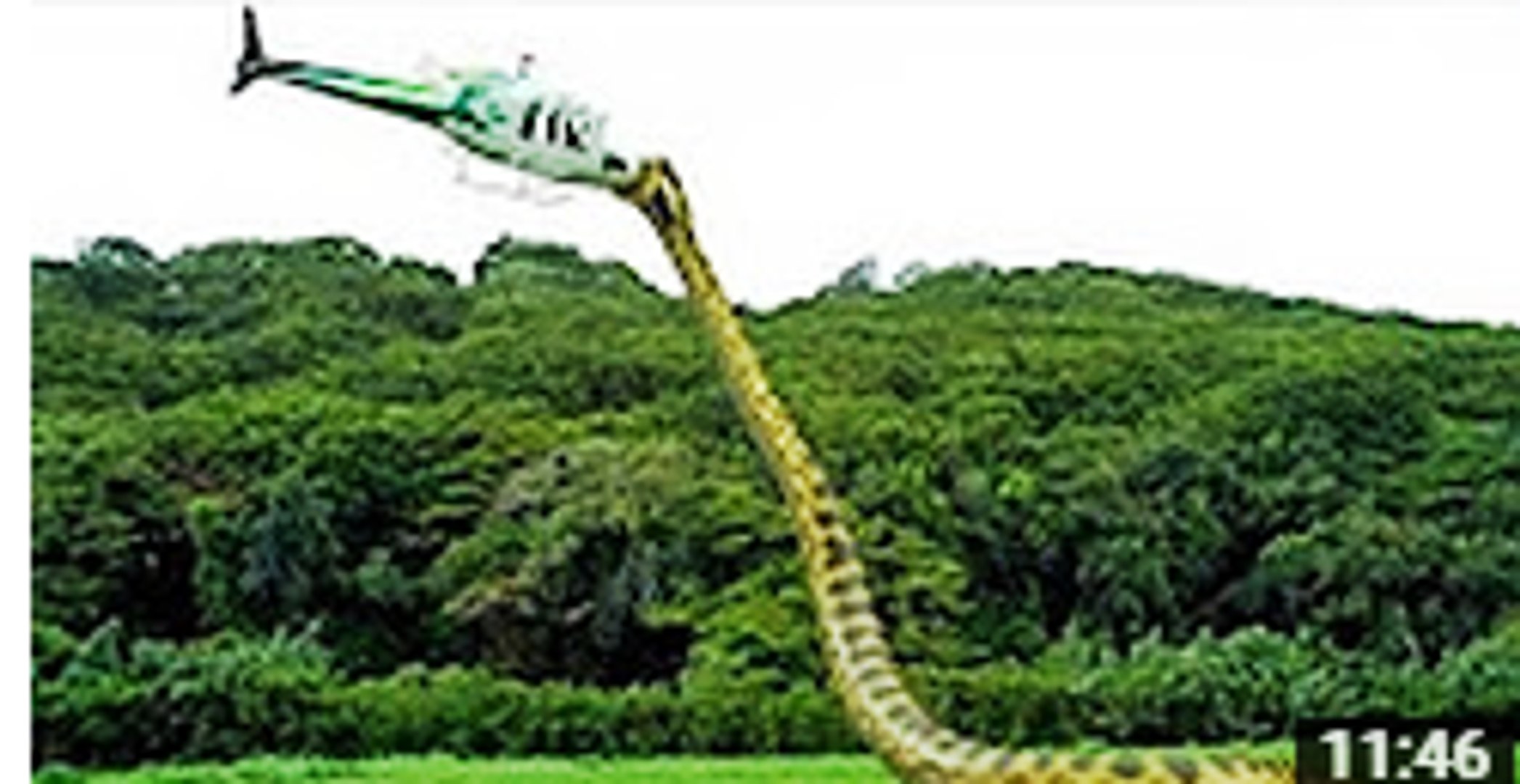 Amazing Wild Animals Attacks 30 Giant Snake Anaconda Attack