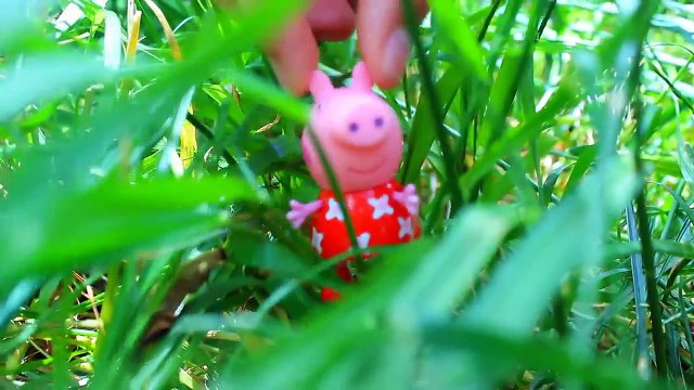Свинка Пеппа Джордж заблудился в лесу обкакался Мультики из игрушек Peppa Pig