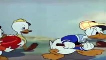 Donald Duck & Chip and Dale Cartoons Full Episodes New - Pluto Dog, Daisy Duck