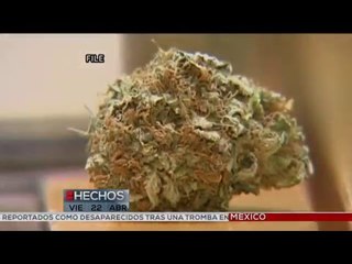 Peña Nieto presenta propuesta para legalizar la marihuana