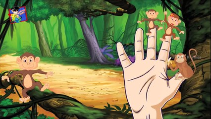 Funny video with monkey | 5 Little Monkeys Rhyme | Finger Family | Collection | Cartoon Rhymes