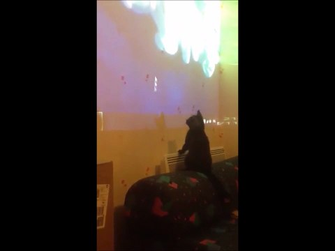 Apéro le Chat S01E01 - Apéro chasse la souris.