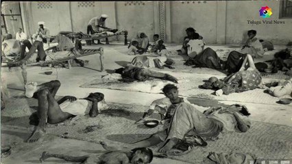 why godse killed gandhi