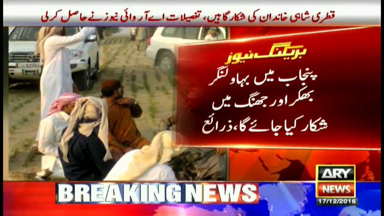 FO allocated areas for Qatari royals to hunt endangered houbara bustard