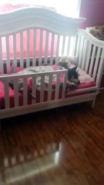 Elle va vérifier que son bébé dort bien et elle tombe sur un truc de fou... Adorable