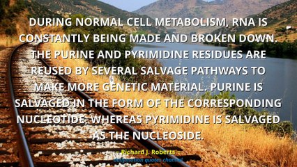 Richard J. Roberts Quotes