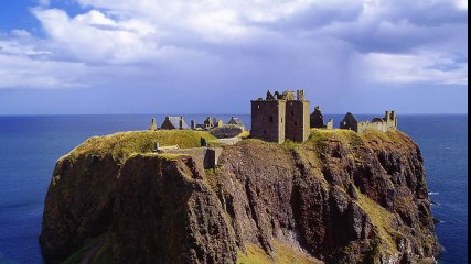 Mushroom Episode; Neurogenesis.