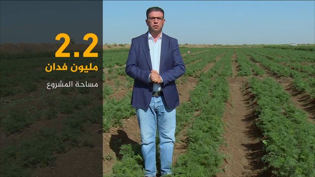 الاقتصاد والناس- مشروع الجزيرة السوداني كيف كان وكيف أصبح؟