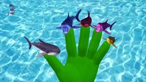 My Abc Songs Shark Finger Family | Animated Shark Finger Family