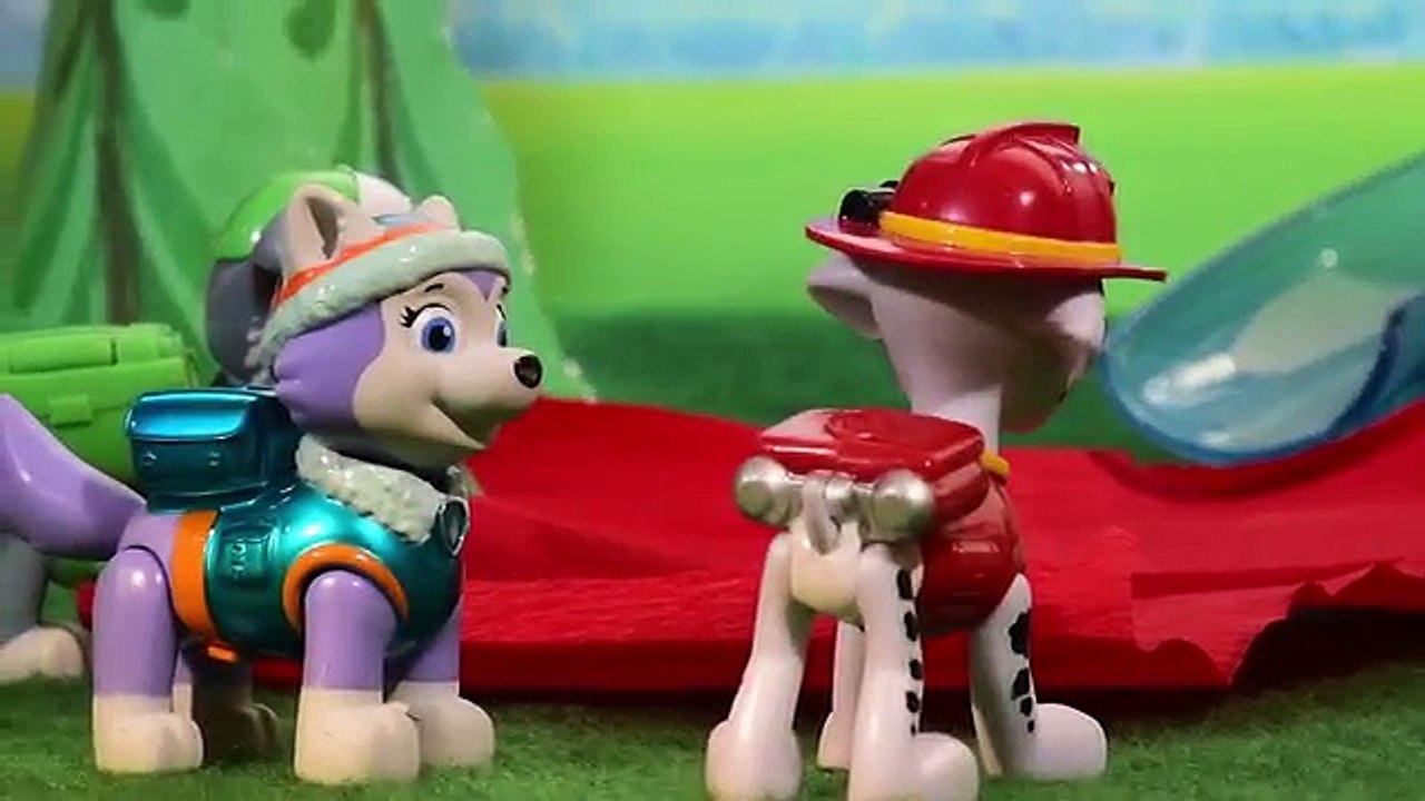 PATRULLA DE CACHORROS ✯ Hay que salvar al Sr. Leo ✯ Historias Patrulla de Cachorros en español