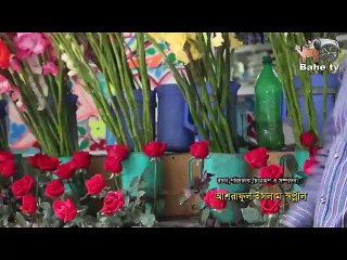 short film দেখুন ভালোবাসা দিবসের নামে কি হচ্ছে পার্ক গুলতে !!!!!