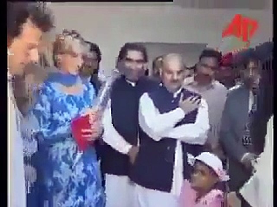 یہ وہ زمانہ تھا جب چھوٹے میاں شہباز شریف نے پہلی بار لیڈی ڈائنا سے عمران خان کےذریعے ملاقات کی