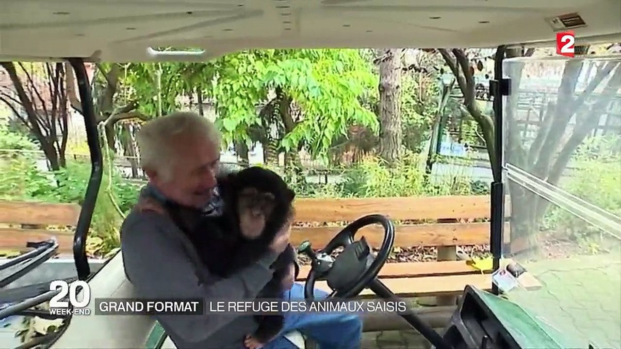 Animaux : des refuges accueillent des animaux saisis