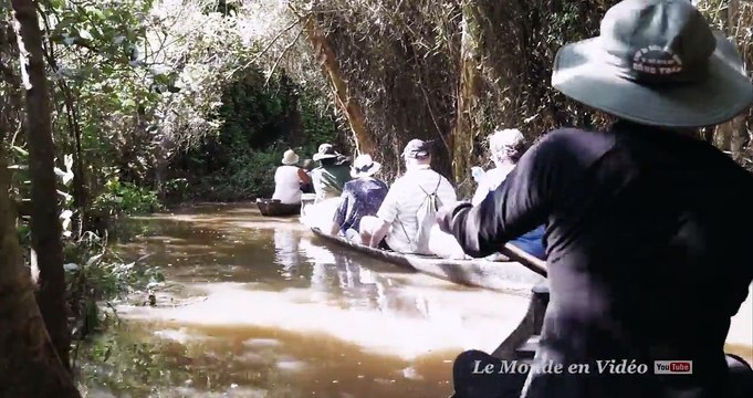 AMAZING Forest tour in delta of Mekong ,Vietnam