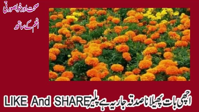 Home Remedy To Grow Long Hair بالوں کو لمبا کرنے کا طریقہ Balon Ko Lamba Karne Ka Tarika & Nuskhe