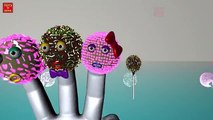 Finger Family | Cake Pop Finger Family | 3D Animation Nursery Rhymes for Children