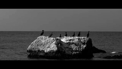 Flört - Ağlamak Yok