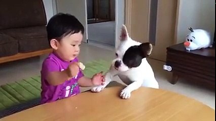 Dog Irritating Kids - Most Funny Whatsapp Clips - Funny Dogs and Kids