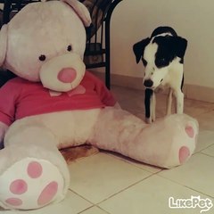 친구야 저기봐봐 영상찍는데!