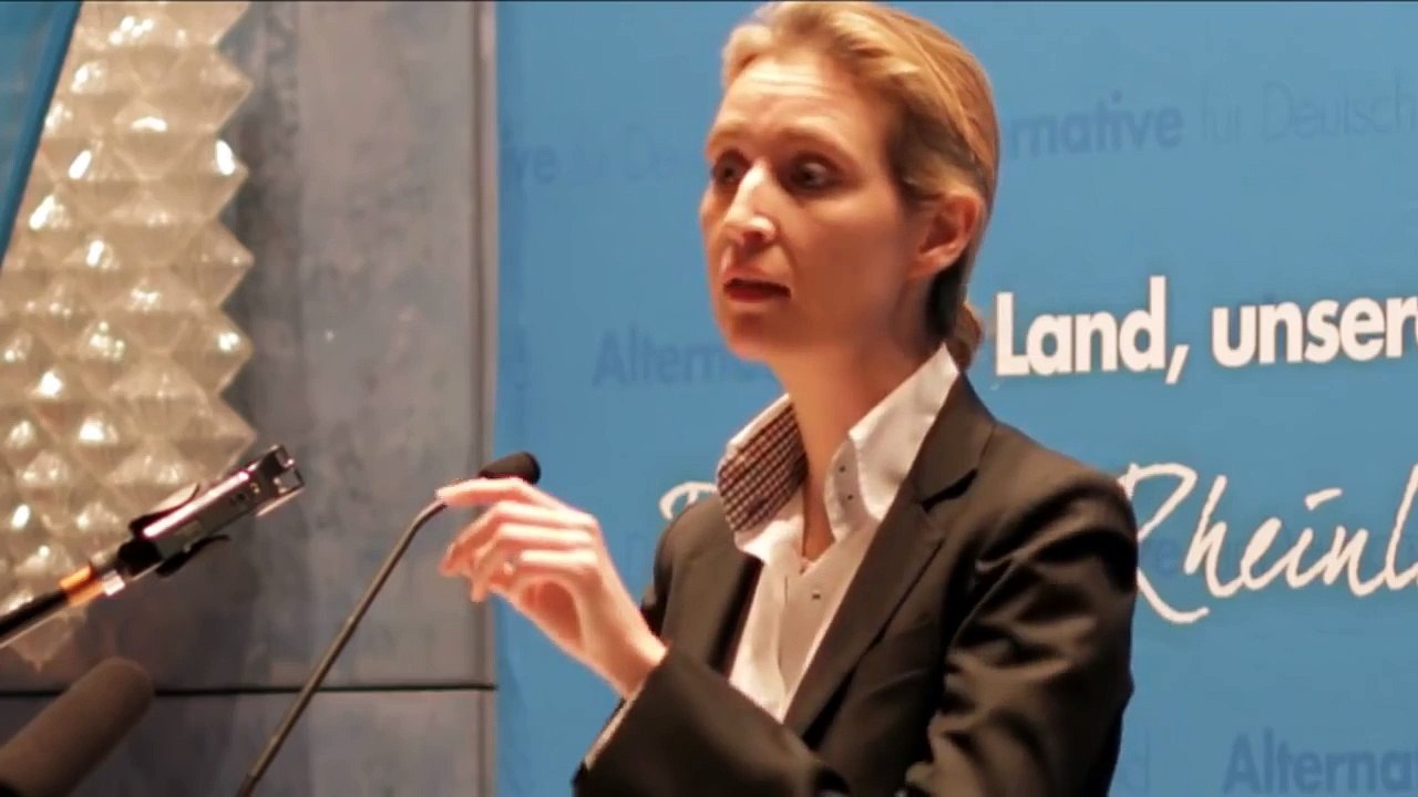 AfD Alice Weidel - zu den aktuellen Themen 22-02-2016