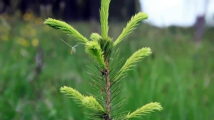 Amazing Tech  part_4