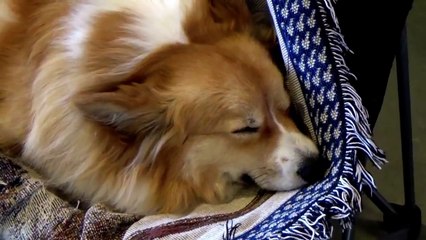 SLEEP-RELAXING MUSIC for KIDS