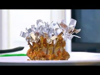 تاج ريش على طريقة الشيف شربيني 🍽️ - وصفة شهية خطوة بخطوة