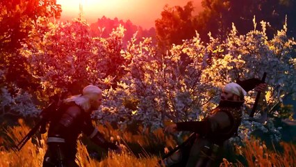 The Witcher 3 : Traque sauvage - Les monstres