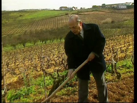 Horizontes da Memória, História de uma Vila, Bombarral, 1999