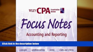 BEST PDF  Wiley CPA Examination Review Focus Notes, Accounting and Reporting (CPA Examination