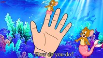 Tom and Jerry Mermaid Finger Family Song - Five Little Monkeys Jumping On The Bed Nursery Rhymes