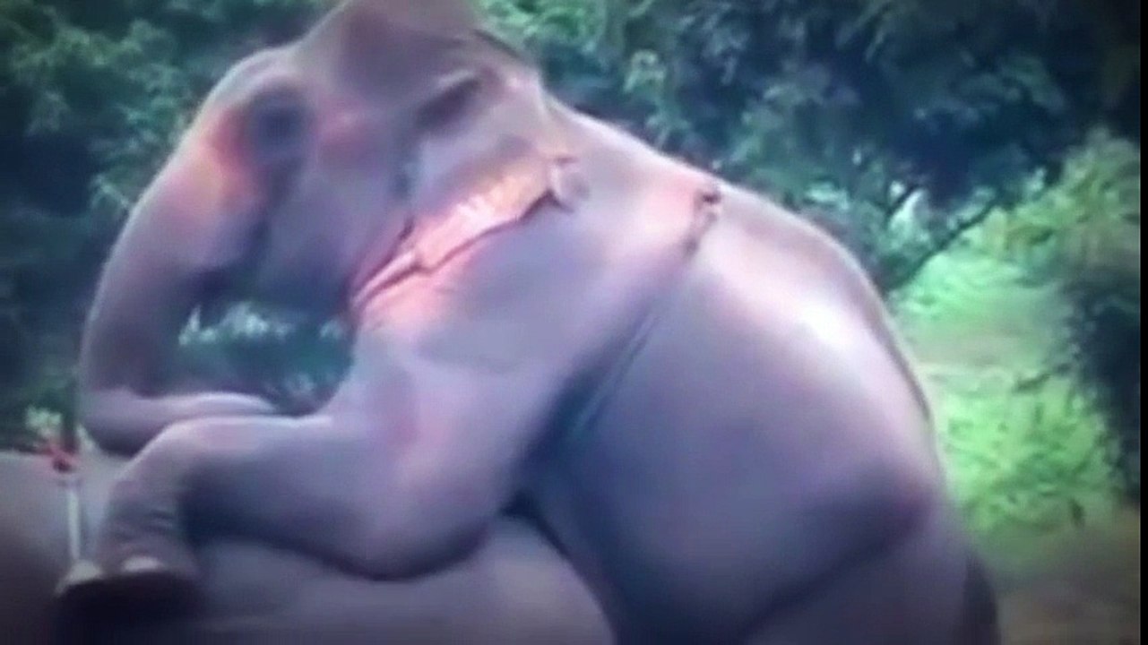 Mating Raising animals