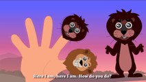 Lion Animal Finger Family 2 - 7 Finger Family Songs - Daddy Finger Nursery Rhymes
