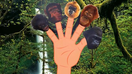 Finger Family Snake | cartoon Play-Doh Animals Rhymes | Nursery Rhymes and Song For Children