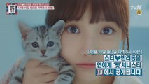 [예고] 스타♡반려동물! 연예계 '펫'셔니스타 공개!