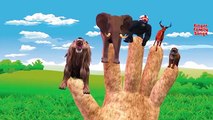 Animals Cartoons Finger Family Children Nursery Rhymes| Animals Animal Finger Family Songs