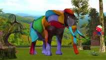 Rainbow Colors Dinosaurs Finger Family | Wild Animals Finger Family Nursery Rhymes Collection