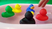 Five Little Ducks Went Out One DayNursery Rhymes and Fun Songs English Songs efl esl