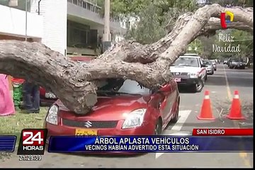 Enorme árbol cae sobre camioneta en San Isidro