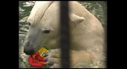 クラスノヤルスク動物園でプールに飛び込むセードフ司令官