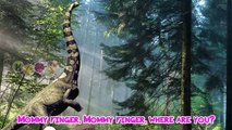3D Dinosaur Animation Finger Family NEW BY KidsW